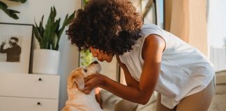 Homemade Doggie Breath Mint Freezer Pops