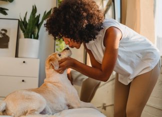 Homemade Doggie Breath Mint Freezer Pops