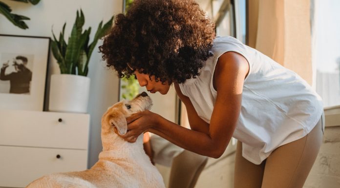 Homemade Doggie Breath Mint Freezer Pops